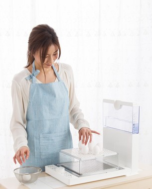 付属の調理プレートにはタマゴが立てられるようくぼみがある