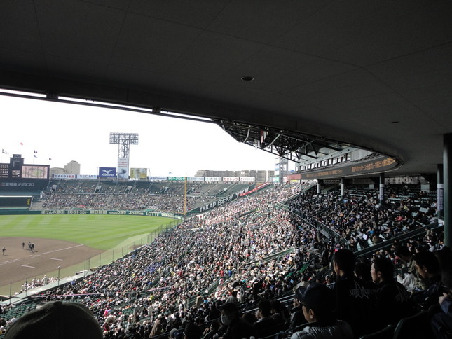 ルールの変更は必要？（WikimediaCommonsより）