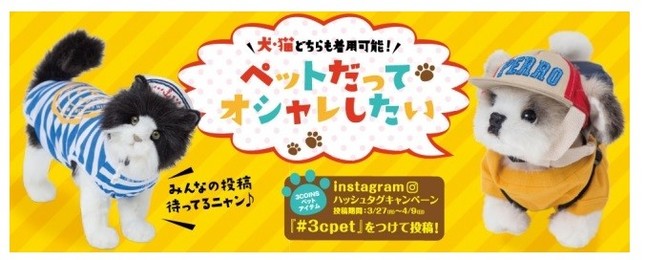 トータルコーディネートしても1000円以下