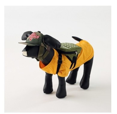 Tシャツ、キャップ、リュックを合わせて