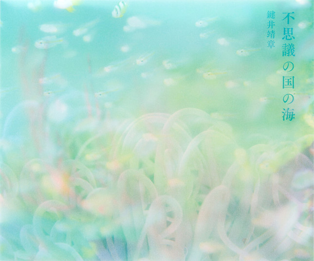 海中風景を紹介