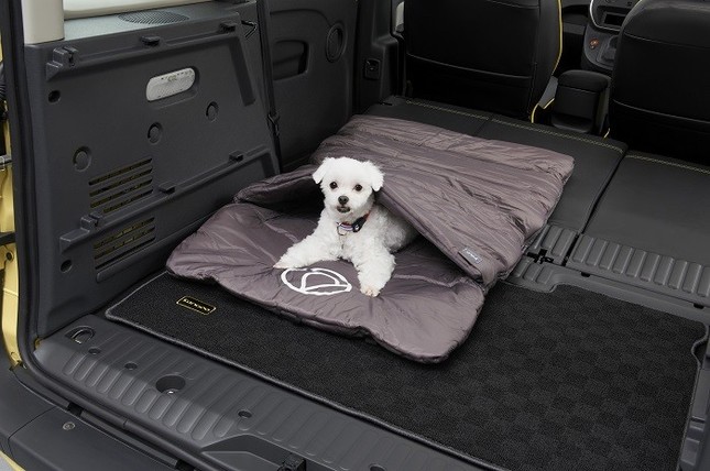 ペットアイテムを装備した限定車登場！
