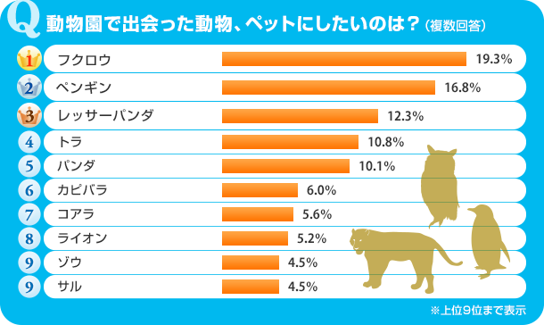 ランキングはこちら！