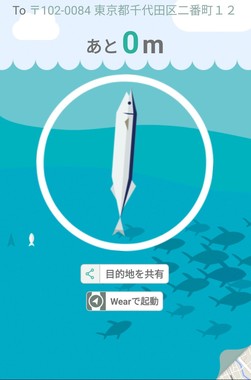 サンマアップグレード後