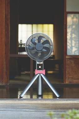 エモーショナルな部分へ訴求「愛着家電」
