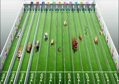 レースのイメージ