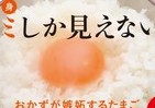 【もうキミしか見えない】おかずが嫉妬する、卵かけごはんの「卵」