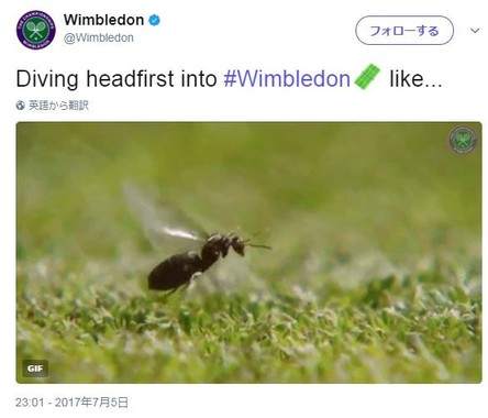ウィンブルドンの公式ツイッターアカウントより