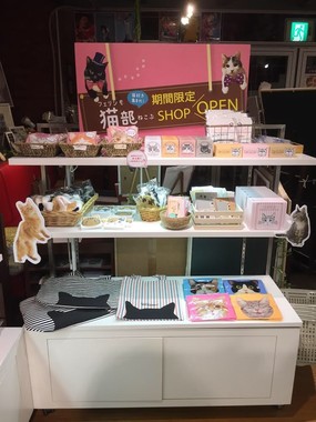 実際に手に取って見られます