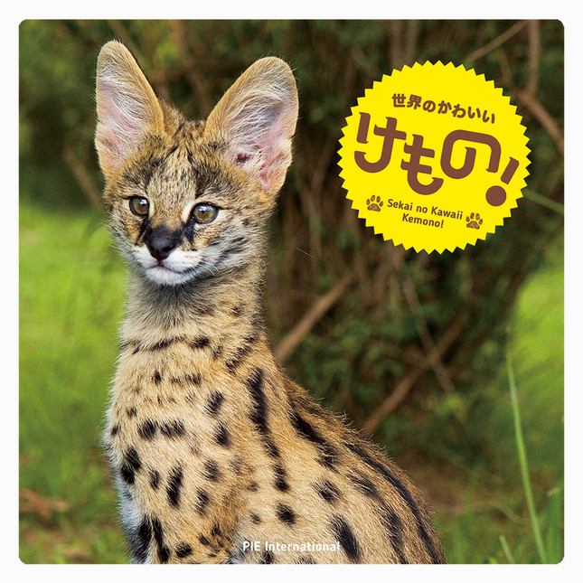 「世界のかわいい け も の！」表紙