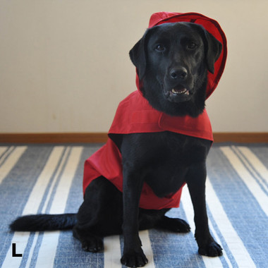 お散歩のスタンバイＯＫ