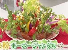 平野レミ新伝説「ハンバーグ生け花」　生野菜を次々ぶっ刺す　