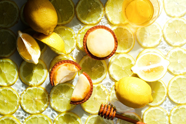 新商品「はちみつがけレモンチーズタルト」