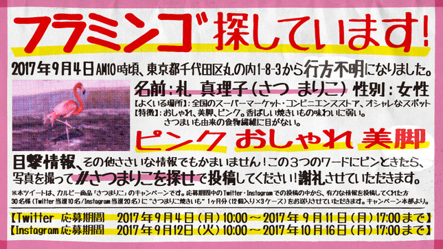 Twitter、Instagram限定「フラミンゴ探してます！」キャンペーン
 