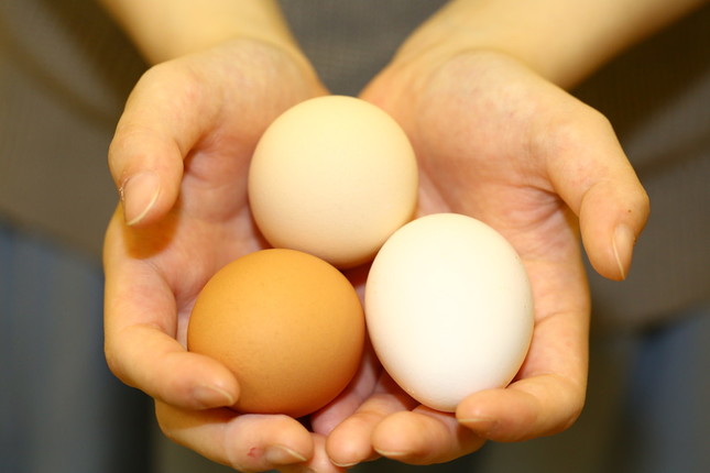 新鮮なたまごを使用