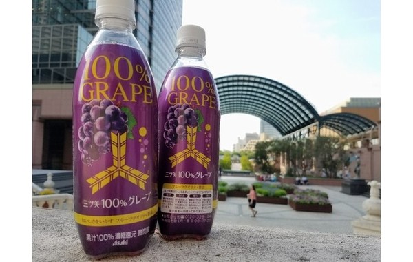 プレスリリースより
