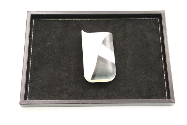 「IQOScan」提案のデザインで、記者もケースを作ってもらった。