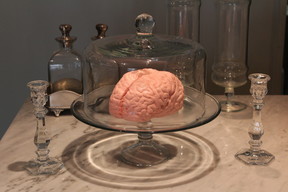 「実物大？！脳みそマシュマロ」