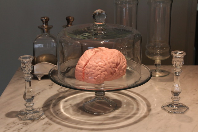 「実物大？！脳みそマシュマロ」