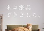 「ネコ専用」家具が爆誕　ソファ、ベッド...かわいいにゃ～！
