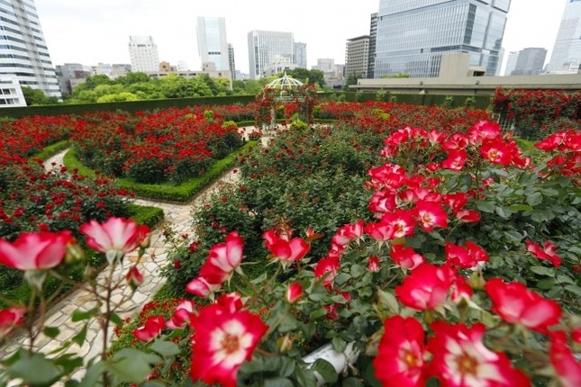 110万円で至れり尽くせりの贅を味わおう