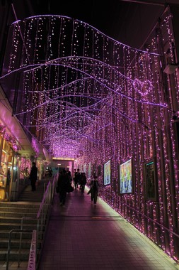 サクラカラーに輝く