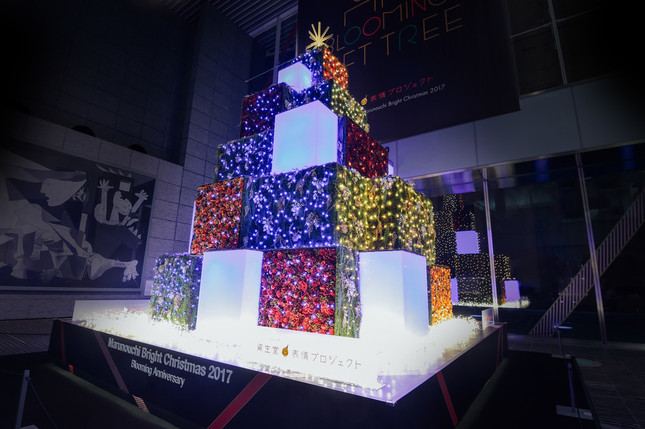 「Blooming Gift Tree」