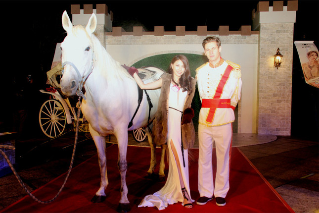 会場の敷地内で、馬がお出迎え。