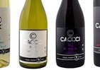 牡蠣に合うワイン、その名も「CACCCI（カッキー）」　ゼネラル・オイスター28店舗で提供開始