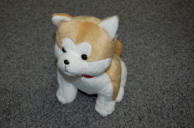 横顔もキュート