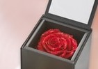 ダイヤ入りラメのバラが美しい　母の日限定「惑星ショコラBOX」