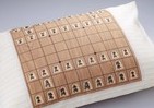 夢の中でも次の一手を！　将棋盤の枕カバー爆誕