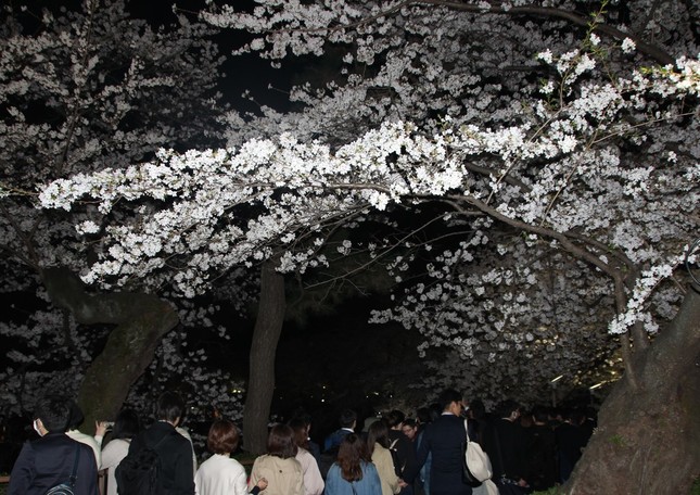 平日夜も人で賑わっている