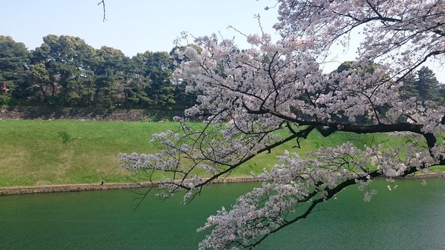 昼はまた違った風情がある