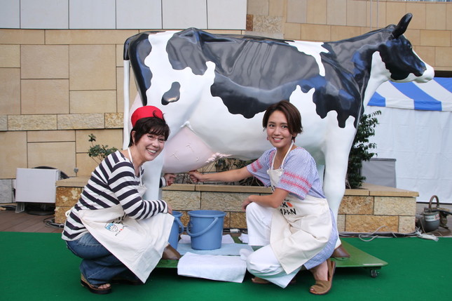 来場者も体験できる「乳搾り」体験
