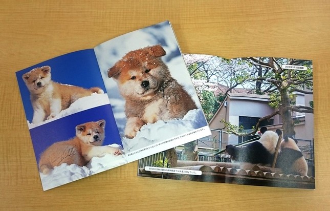 編集長厳選の写真が掲載されている