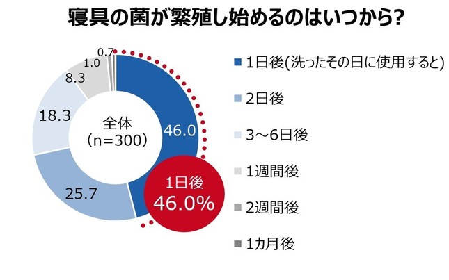 寝具の菌が増殖し始めるのはいつから？