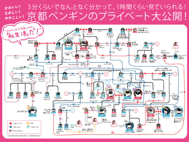 京都水族館のペンギン相関図