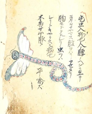 奇書に描かれたハラノムシ