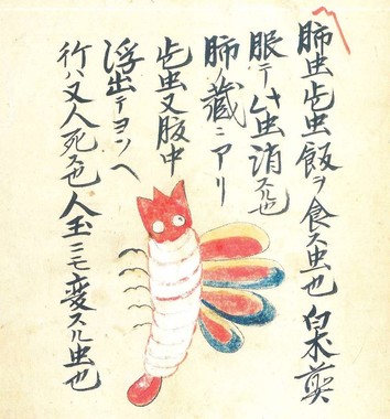 奇書に描かれたハラノムシ
