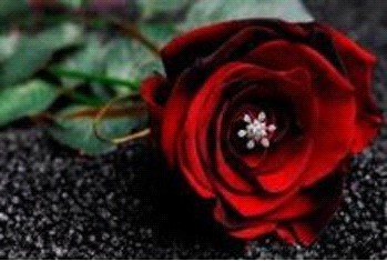 3人でまた訪れたい記念のホテルに