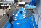 【震災7年　明日への一歩】忘れられた大阪北部地震　5か月たった今も続く被災者支援
