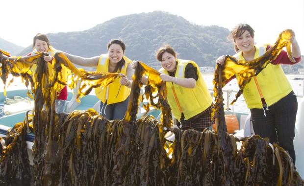 刈取り、塩蔵、試食が体験できる