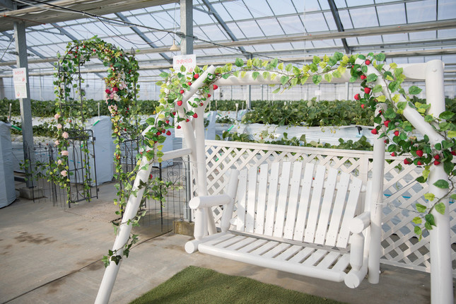 いちごやグリーンに包まれたブランコ