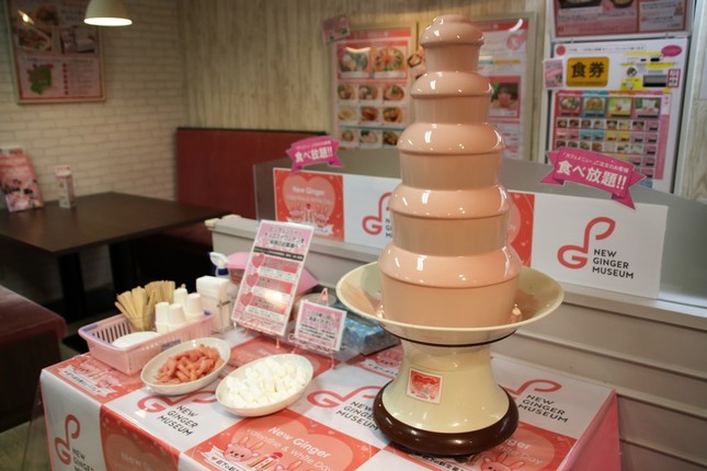 ピンクジンジャーチョコファウンテン