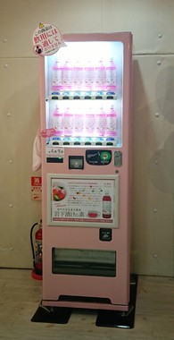 ミュージアム限定「岩下漬けの素自動販売機」