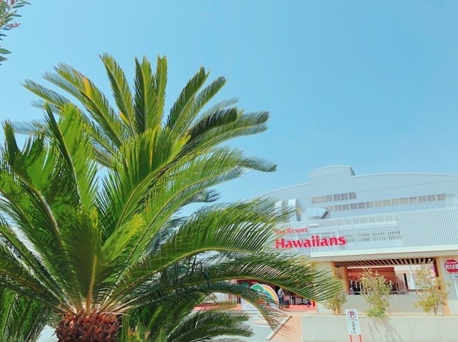 首都圏からバスでハワイに直行
