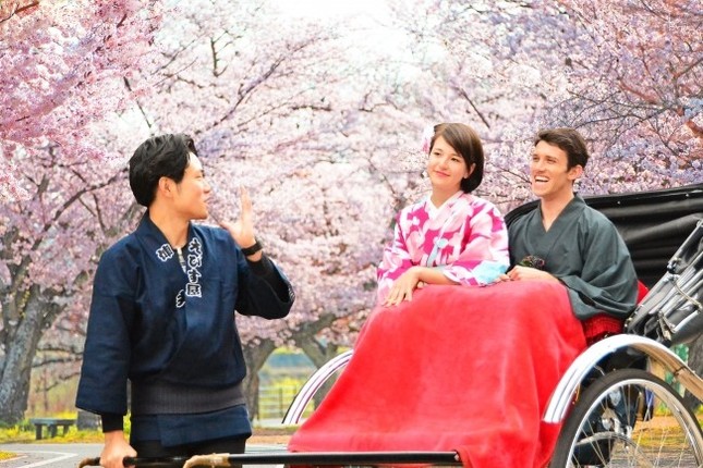 日本情緒溢れるお花見人力車