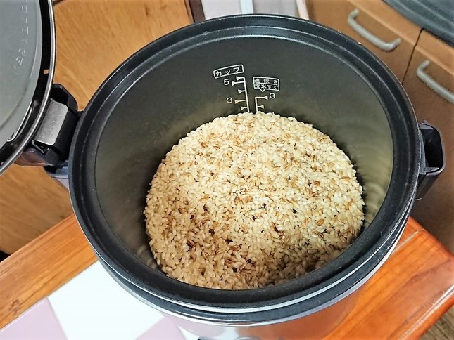 白米と同じ水加減で軽くすすぎ、1時間ほど置いて炊くだけ