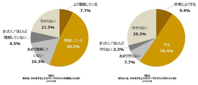 自分は、SNSをする上でのマナーやエチケットを理解しているか／周りの人は、SNSをする上でのマナーやエチケットを守っているか